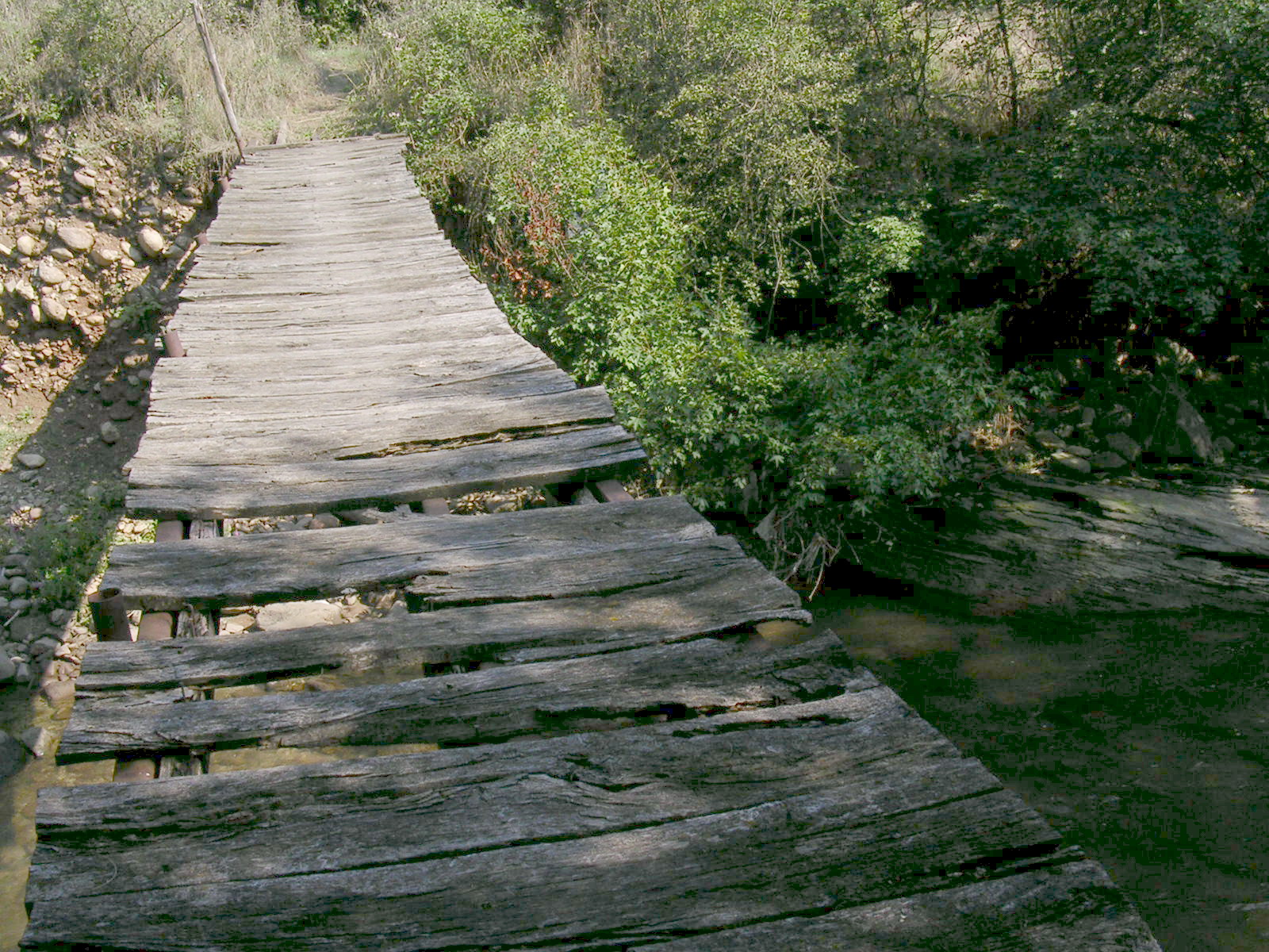 wooden bridge