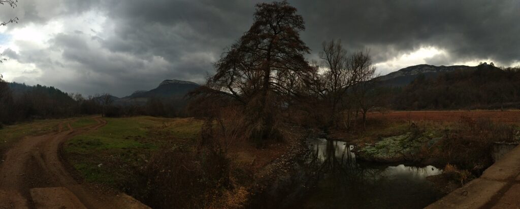 spring landscape