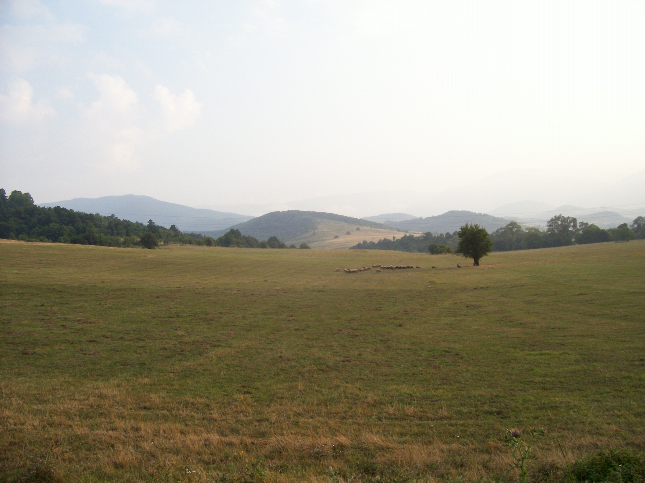 landscape image